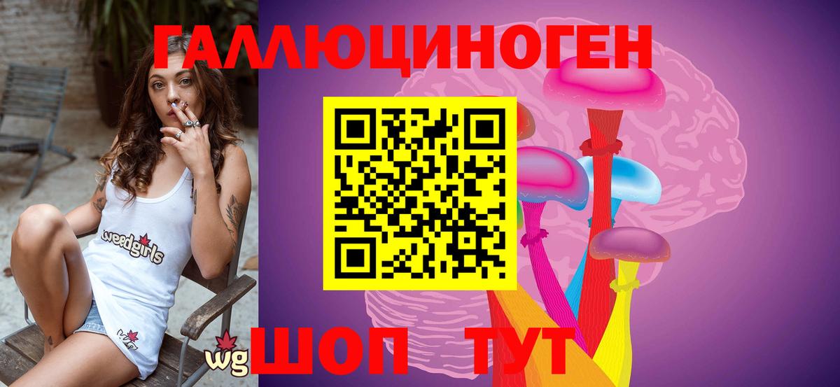 Псилоцибиновые грибы MAGIC MUSHROOMS  Вход с VPN  Новошахтинск 